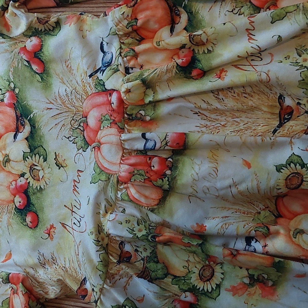 Boutique Autumn Fall Dress - Picture 3 of 4